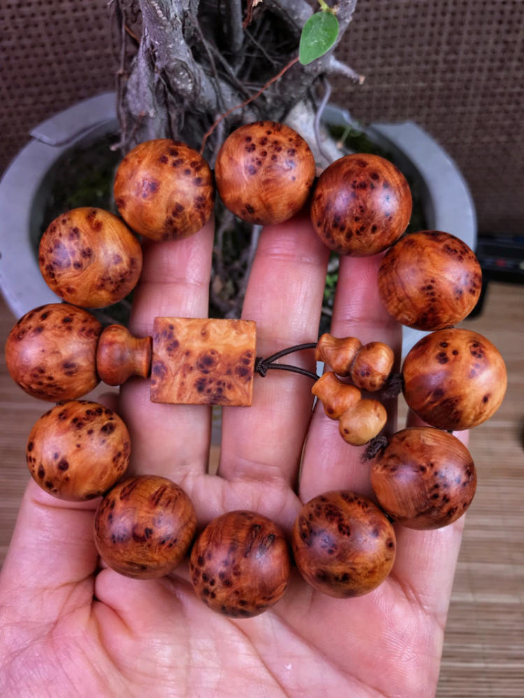 厉不厉害?暴力鸟进球=C罗2倍【beat365官网中文】(图2) 厉不厉害?暴力鸟进球=C罗2倍【beat365官网中文】(图2)