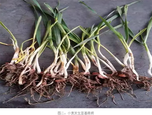 马竞主席疑暗讽格子:我们的新7号是信守承诺的人“beat365官网中文”(图4)