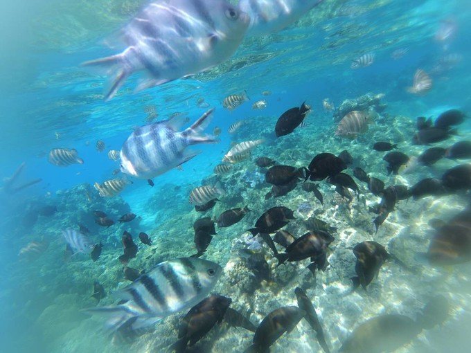 BEAT365-曝皇马曾欲给穆帅1200万备胎费:专心等齐祖下课!(图1)